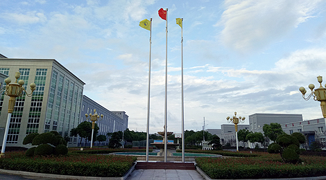 1500970067901703.jpg 1.jpg